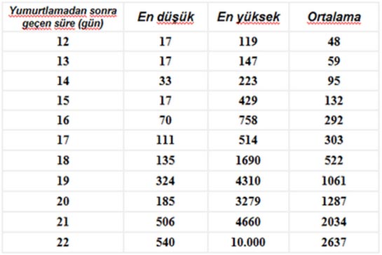 D Gebelikte Beta Hcg Deerleri