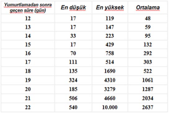 Dış Gebelikte Beta Hcg Değerleri Kaçtır?